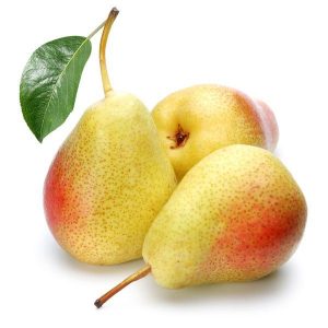 ercolini